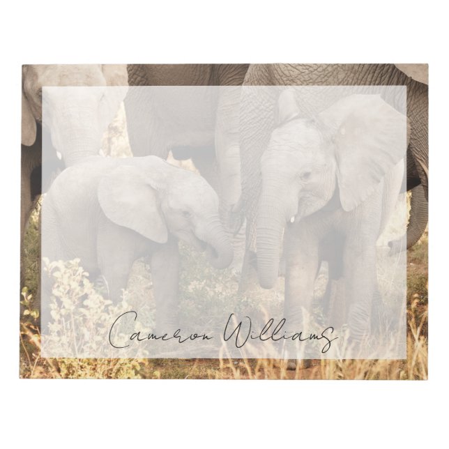 Bloc-note Animaux de bébés cutest | Deux jeunes éléphants (Devant)