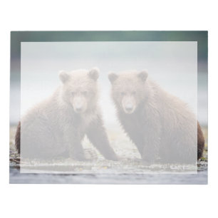 Bloc-note Animaux de bébés cutest Deux petits ours d'ours