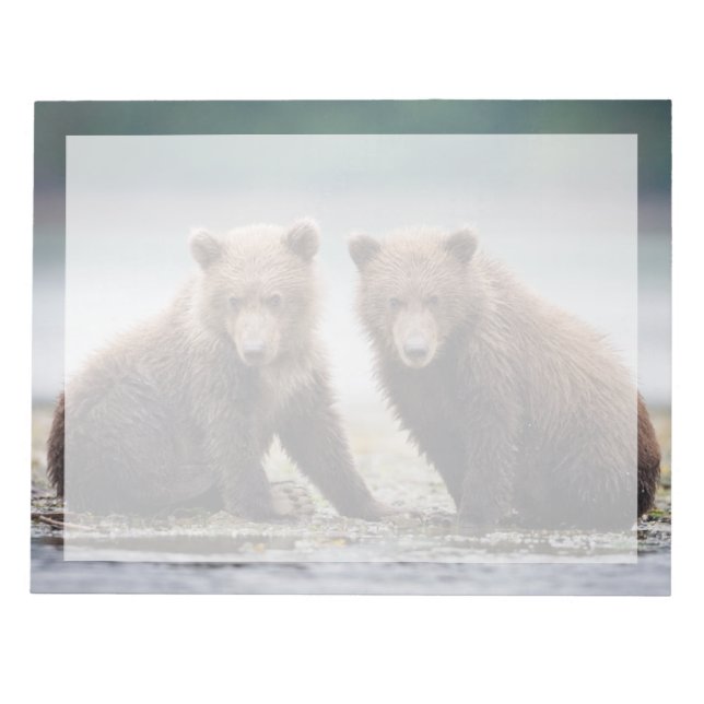 Bloc-note Animaux de bébés cutest | Deux petits ours d'ours (Devant)