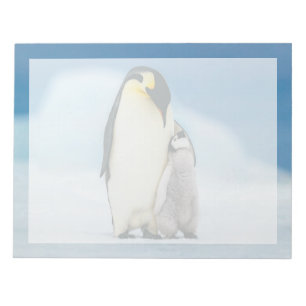 Bloc-note Animaux de bébés cutest Empereur Penguin Chick