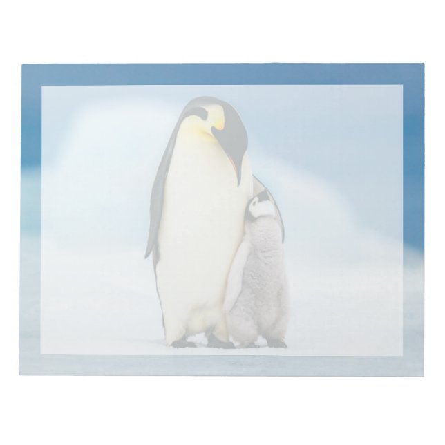 Bloc-note Animaux de bébés cutest | Empereur Penguin Chick (Devant)