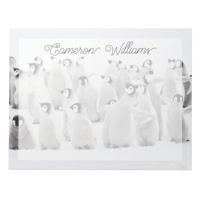 Bloc-note Animaux de bébés cutest | Empereur Penguin Chicks (Devant)