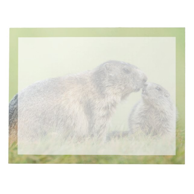 Bloc-note Animaux de bébés cutest | Famille des marmottes al (Devant)