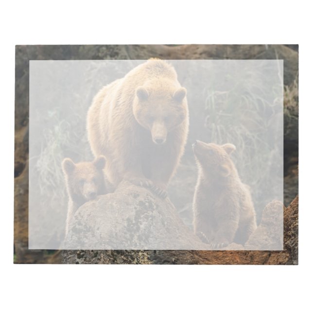 Bloc-note Animaux de bébés cutest | Famille d'ours Brown (Devant)