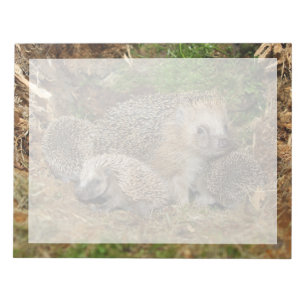 Bloc-note Animaux de bébés cutest Famille Hérisson