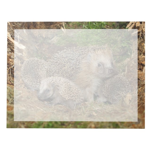 Bloc-note Animaux de bébés cutest | Famille Hérisson (Devant)