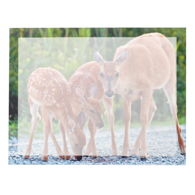 Bloc-note Animaux de bébés cutest | Fawn with Babies (Devant)