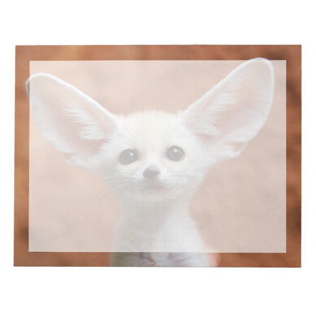 Bloc-note Animaux de bébés cutest | Fennec Fox Pup (Devant)