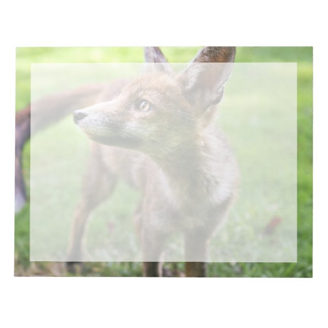 Bloc-note Animaux de bébés cutest | Fox urbain (Devant)