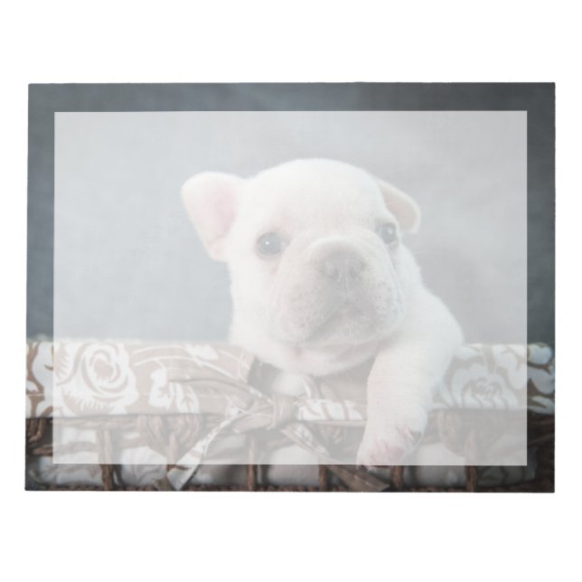 Bloc-note Animaux de bébés cutest | French Bulldog (Devant)