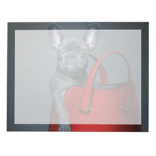 Bloc-note Animaux de bébés cutest French Bulldog dans le s