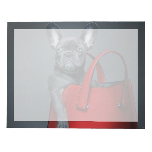 Bloc-note Animaux de bébés cutest | French Bulldog dans le s (Devant)
