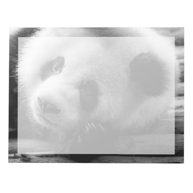 Bloc-note Animaux de bébés cutest | Giant Panda Bear Cub (Devant)