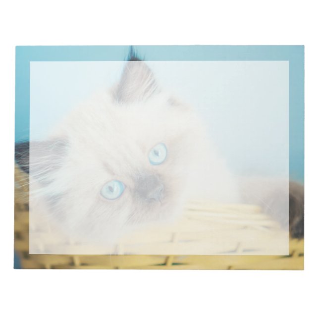 Bloc-note Animaux de bébés cutest | Himalaya Seal Point Cat (Devant)
