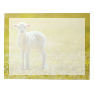 Bloc-note Animaux de bébés cutest Jeune mouton