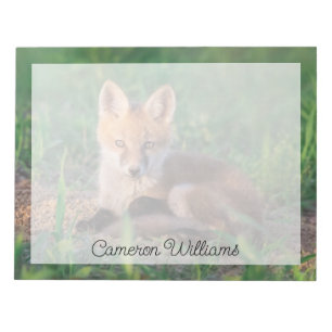 Bloc-note Animaux de bébés cutest Kit Red Fox Relaxant