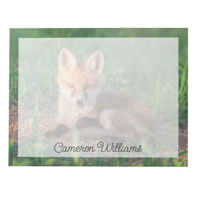 Bloc-note Animaux de bébés cutest | Kit Red Fox Relaxant (Devant)