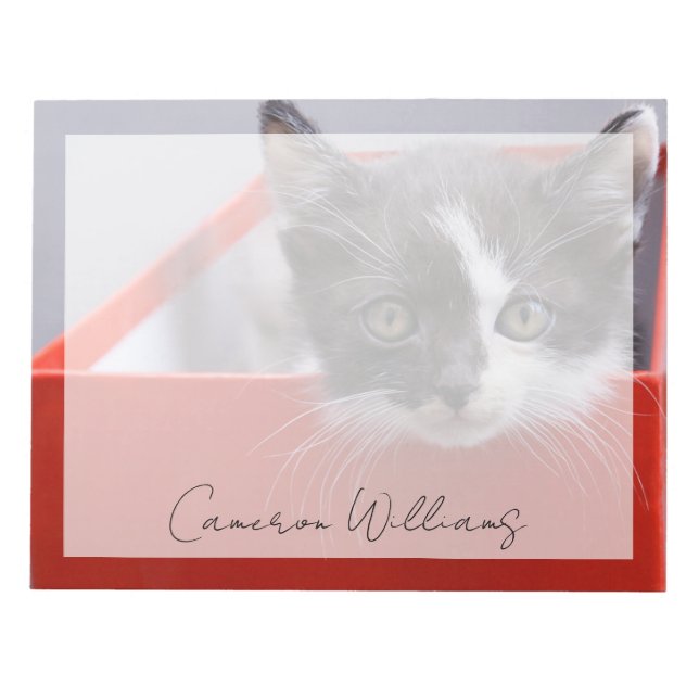 Bloc-note Animaux de bébés cutest | Kitten noir et blanc (Devant)