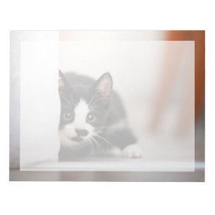 Bloc-note Animaux de bébés cutest Kitten noir et blanc