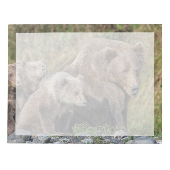 Bloc-note Animaux de bébés cutest | Kodiak Mama Bear & Cubs (Devant)
