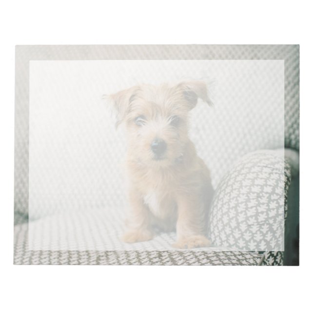 Bloc-note Animaux de bébés cutest | Norfolk Terrier Puppy (Devant)