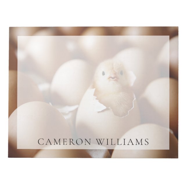 Bloc-note Animaux de bébés cutest | Nouveau bébé poussin (Devant)