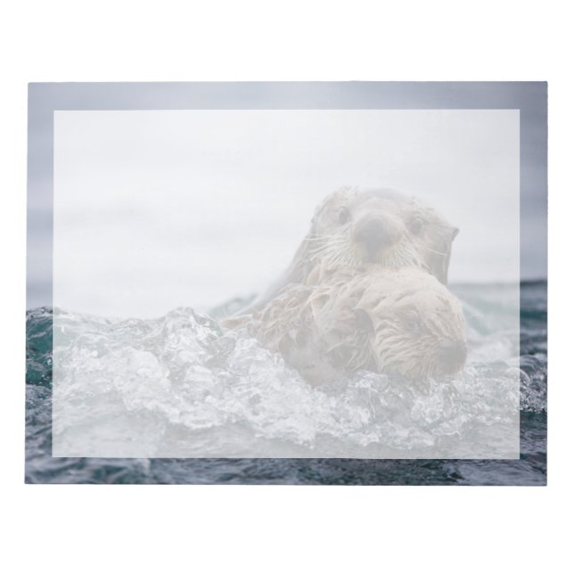 Bloc-note Animaux de bébés cutest | Otter Baby & Mère (Devant)