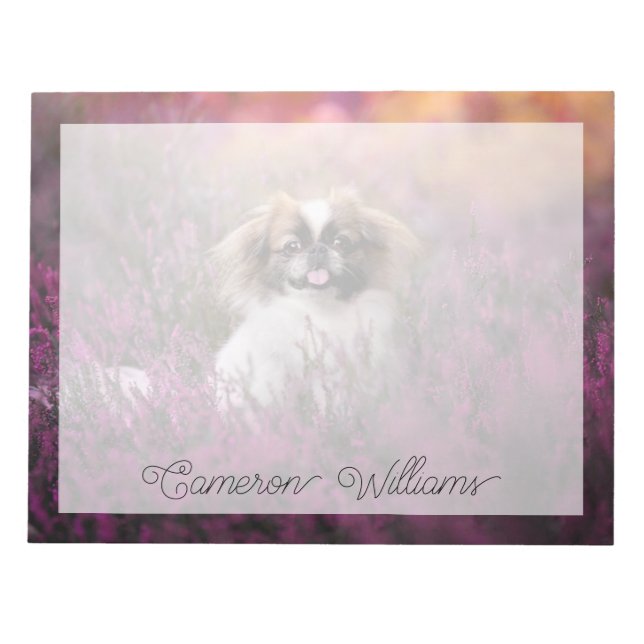 Bloc-note Animaux de bébés cutest | Pekingese Puppy (Devant)