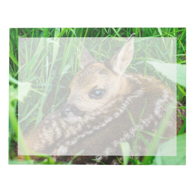 Bloc-note Animaux de bébés cutest | Roe Deer Baby (Devant)
