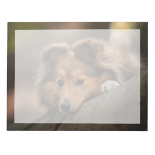 Bloc-note Animaux de bébés cutest Shetland Sheepdog Puppy