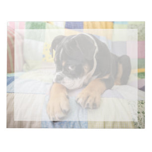 Bloc-note Animaux de bébés cutest   Shy Old English Bulldog
