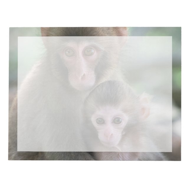 Bloc-note Animaux de bébés cutest | Singes japonais (Devant)