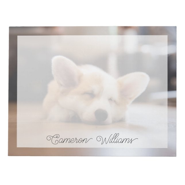 Bloc-note Animaux de bébés cutest | Sleepy Corgi (Devant)
