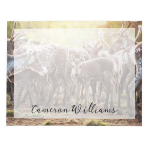 Bloc-note Animaux de bébés cutest   Svalbard Reindeer