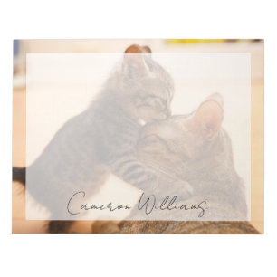 Bloc-note Animaux de bébés cutest   Tabby Kitten Kiss