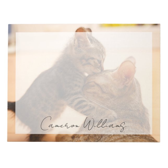 Bloc-note Animaux de bébés cutest | Tabby Kitten Kiss (Devant)