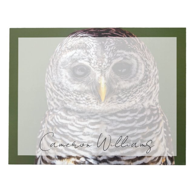 Bloc-note Animaux de bébés cutest | Tawny Owl (Devant)
