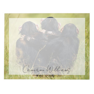 Bloc-note Animaux de bébés cutest   Trois chimpanzés en trai