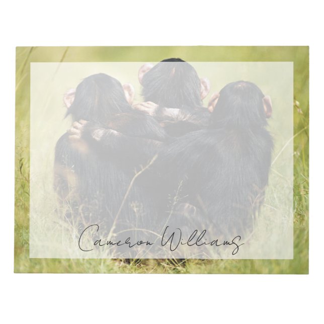 Bloc-note Animaux de bébés cutest | Trois chimpanzés en trai (Devant)