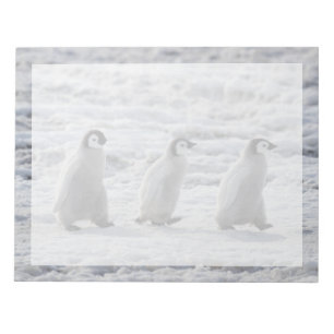 Bloc-note Animaux de bébés cutest   Trois Épouses Penguin Em