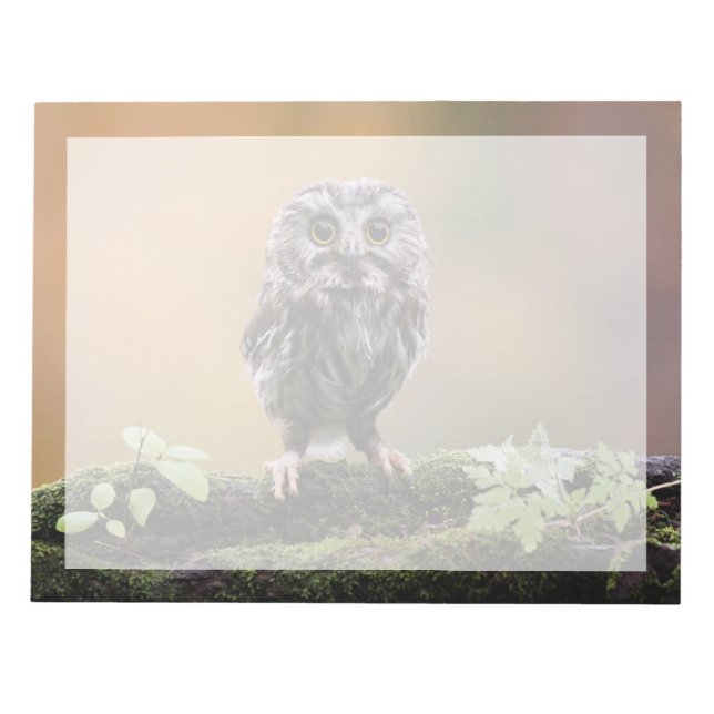 Bloc-note Animaux de bébés cutest | Un hibou-bébé (Devant)
