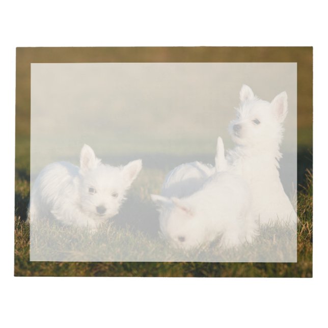 Bloc-note Animaux de bébés cutest | West Highland White Terr (Devant)