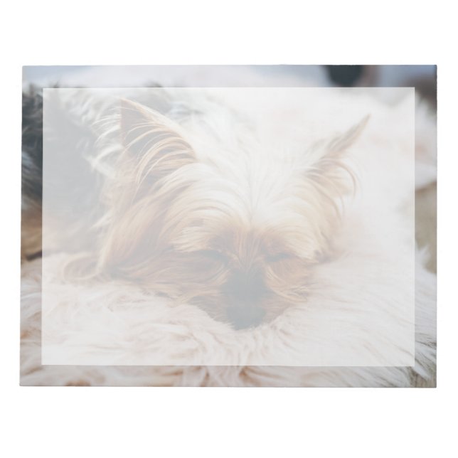 Bloc-note Animaux de bébés cutest | Yorkshire Terrier (Devant)