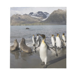 Bloc-note Antarctique, île de Géorgie du Sud (Royaume-Uni),