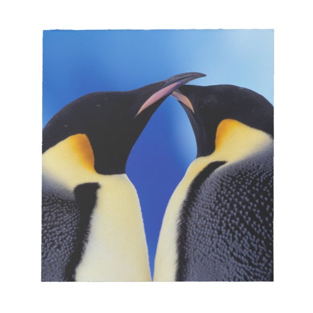 Bloc-note Antarctique, Manchots empereurs (Devant)