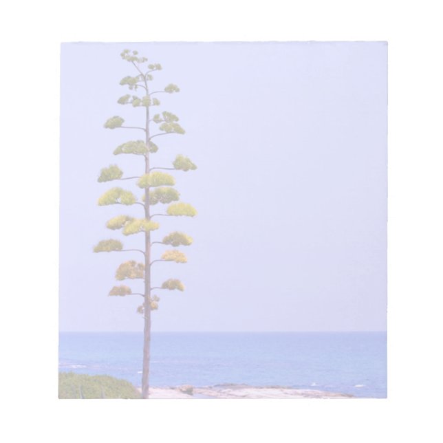 Bloc-note Arbre d'agave - (Devant)