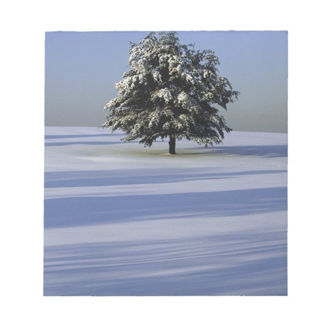 Bloc-note Arbre dans le paysage couvert de neige (Devant)