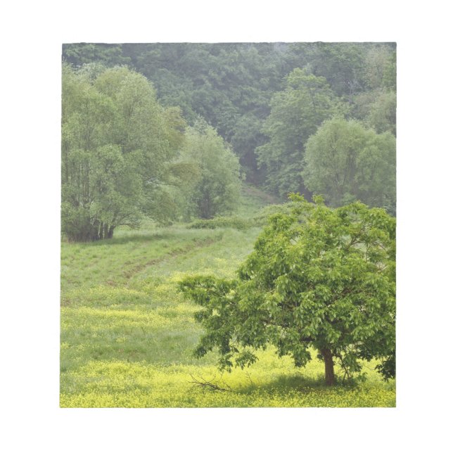 Bloc-note Arbre isolé dans un champ agricole, Toscane, 2 (Devant)
