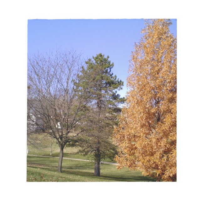 Bloc-note Arbres d'automne (Devant)