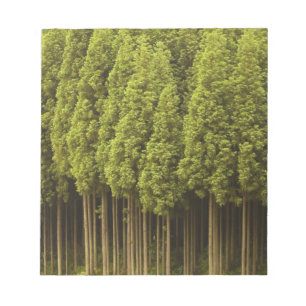 Bloc-note Arbres de cèdre de Koya Sugi